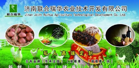 农业科技海报