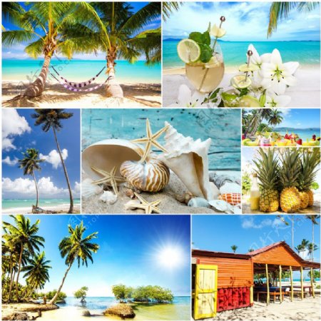 热带海滩风景图片