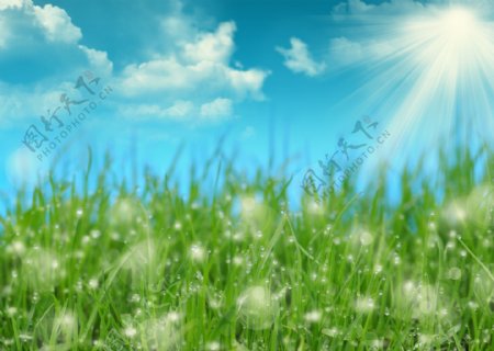 蓝天白云与草地背景图片