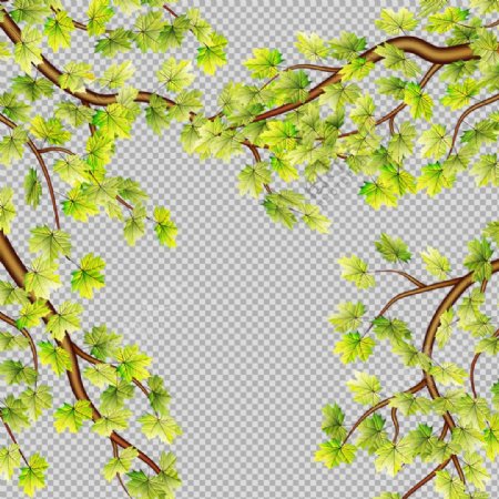 手绘树叶子花边免抠png透明图层素材