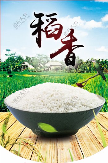 大米稻香海报
