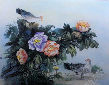 油画花卉小鸟图片