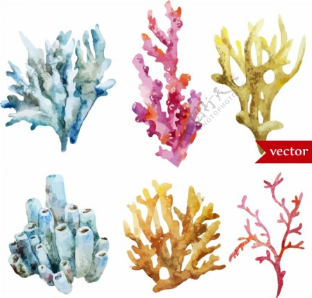 卡通彩色珊瑚水彩夏日海洋动物元素
