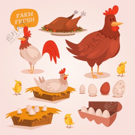 鸡和鸡蛋插画