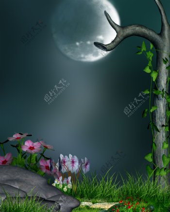 美丽鲜花与月亮风景图片