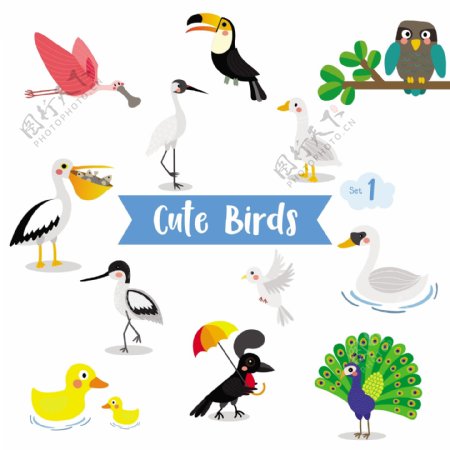 鸟类动物卡通形象矢量素素材