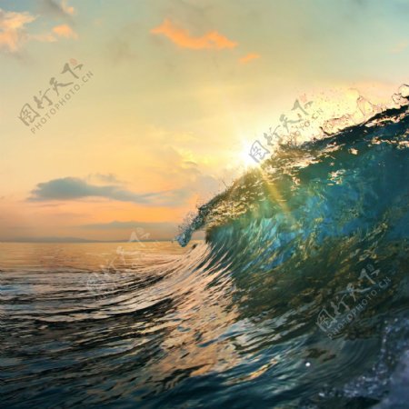 阳光下的海浪图片