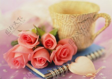 粉色玫瑰花与杯子图片