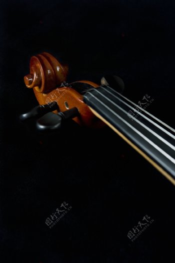 大提琴前部分特写图片