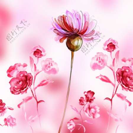粉色花朵三联画