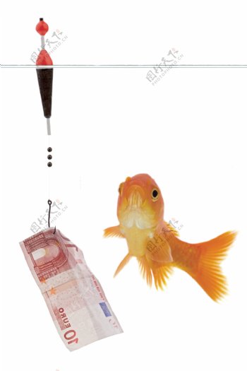 鱼钩钱与钓鱼图片