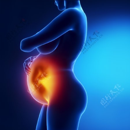 孕妇与胎儿