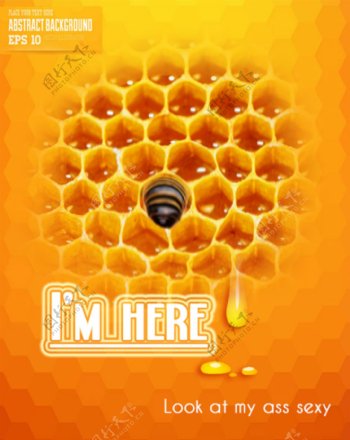 蜂巢海报