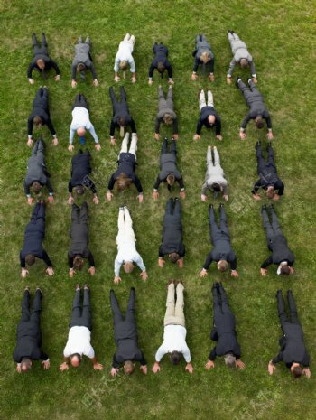 草地五排做俯卧撑的商业人士图片图片