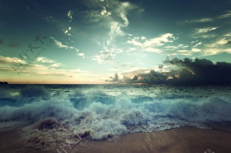海边卷起的海浪图片