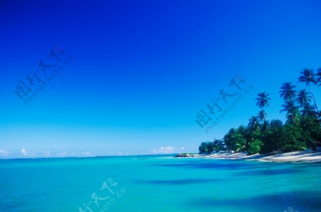 漂亮的蓝色加勒比海岸图片