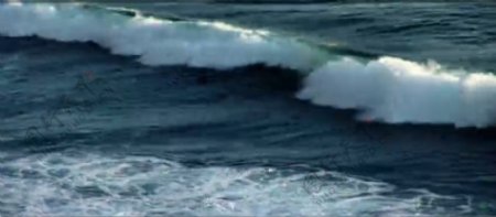 海浪浪花特写高清实拍视频素材