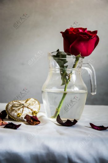 玻璃杯里的玫瑰图片