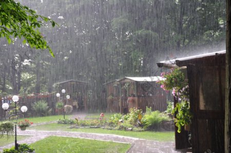 庭院中的雨图片