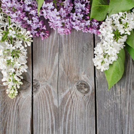 鲜花与木板背景图片