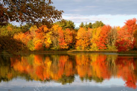 秋季景观摄影图片图片