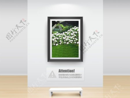 白色鲜花植物草地影楼摄影背景图片