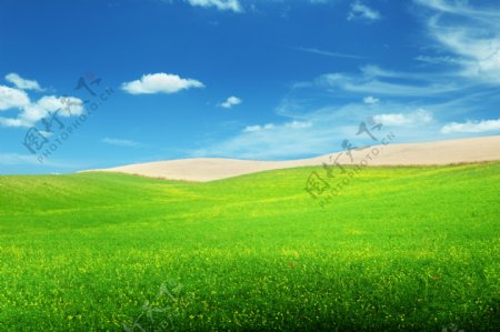 美丽草原美景图片
