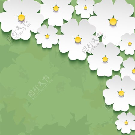 白色立体花朵