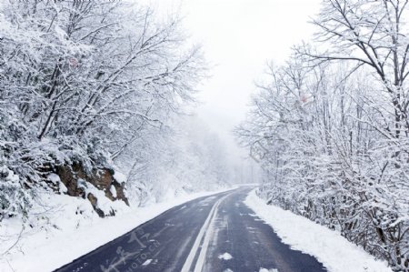 冬天公路风景图片