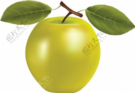 漂亮绿色的新鲜苹果图片免抠png透明素材