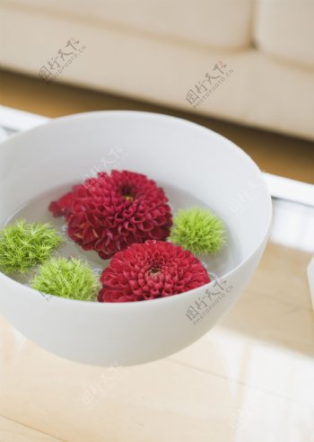 碗里的鲜花