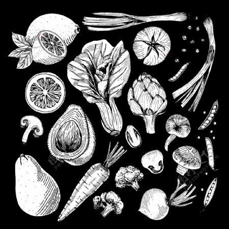手绘素描风格蔬菜免抠png透明图层素材