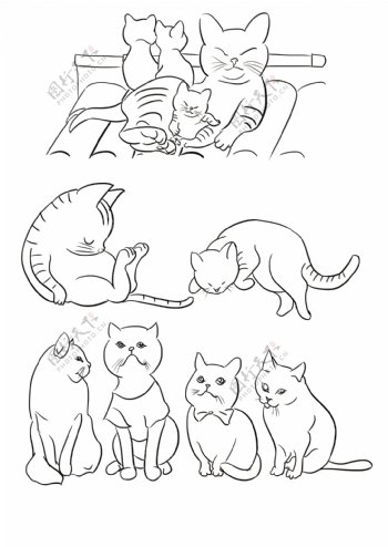 动物猫咪手绘
