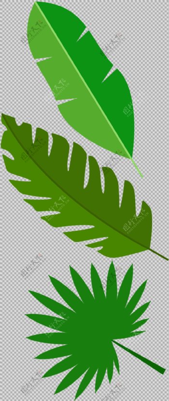 手绘绿色叶子插画免抠png透明图层素材