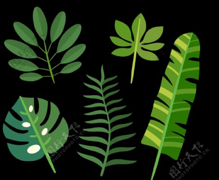 绿色叶子插画免抠png透明图层素材