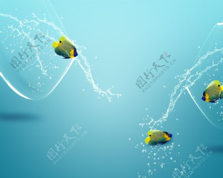 鱼缸与跳出的鱼图片