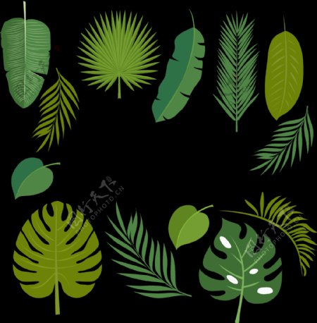 各种绿色叶子插画免抠png透明图层素材