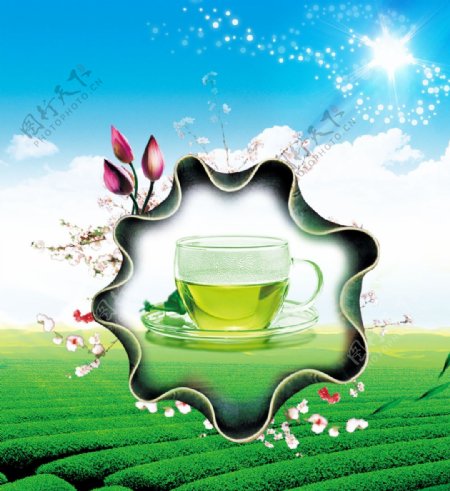 绿茶茶叶海报宣传单