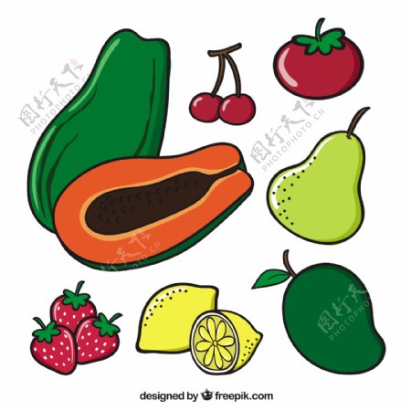 彩色各种水果插图