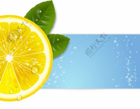 切片柠檬水果插画