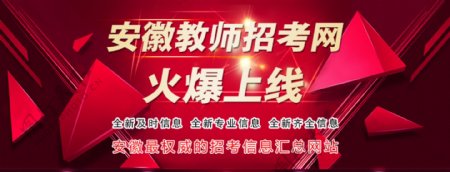 教师招考网站banner