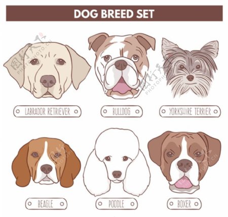 6种创意宠物狗头像矢量素材