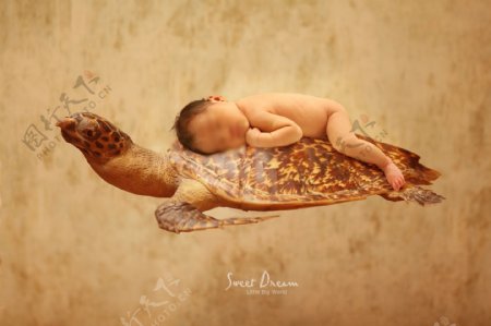 乌龟婴儿睡睡海报