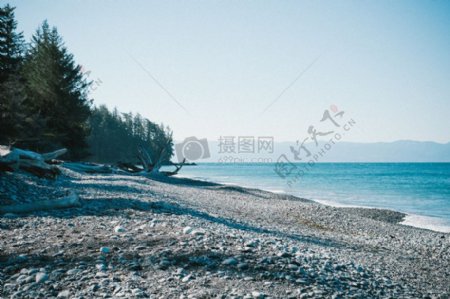 木材海景观海洋树木湖泊石块卵石海滩