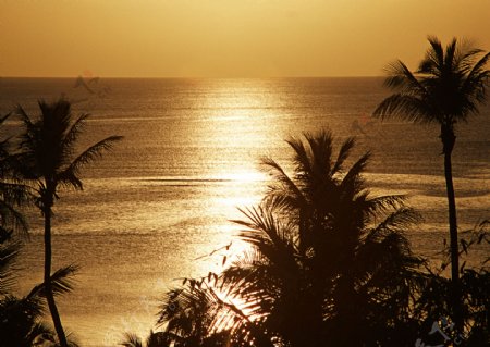 黄昏里的夏威夷海岸图片
