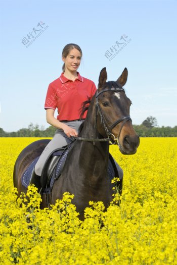 油菜花中的骑马女孩图片