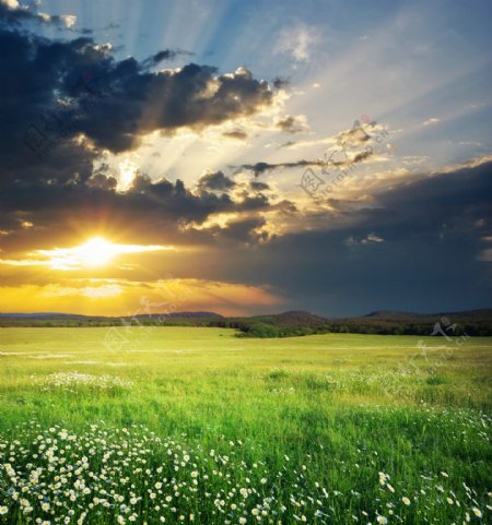 美丽草原黄昏风景图片