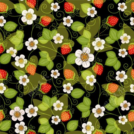 草莓花朵图案图片