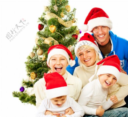 圣诞树前的一家人图片