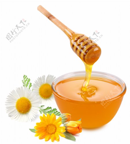 蜂蜜与鲜花图片